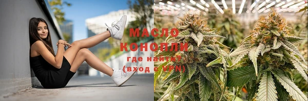 СК Дмитровск
