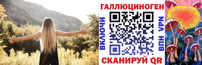 Галлюциногенные грибы GOLDEN TEACHER магазин продажи Стерлитамак